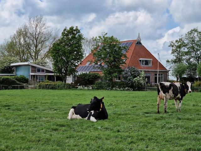 Luxe Gastenverblijf In Het Hart Van Friesland Akkrum Eksteriør billede